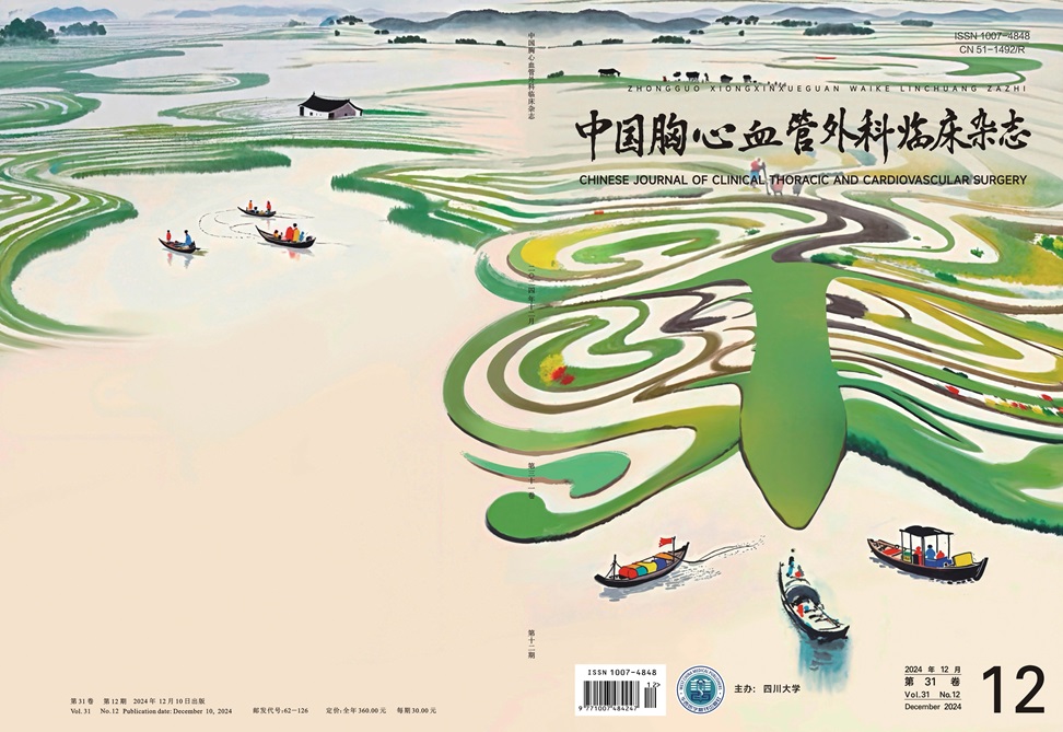 《中國胸心血管外科臨床雜志》2024年第12期封面賞析